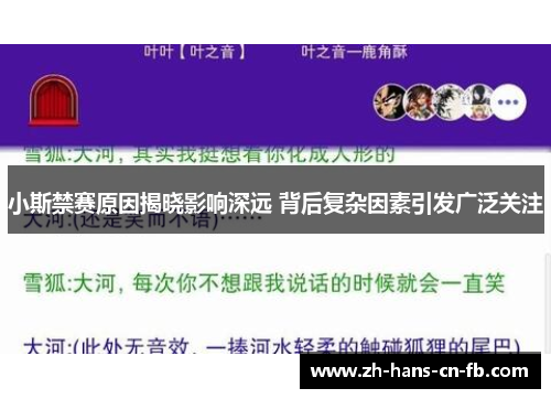 小斯禁赛原因揭晓影响深远 背后复杂因素引发广泛关注