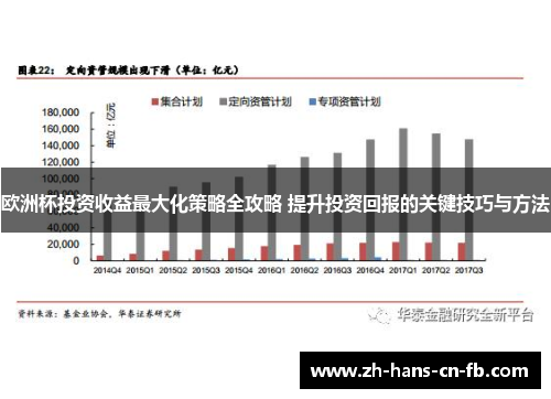 欧洲杯投资收益最大化策略全攻略 提升投资回报的关键技巧与方法