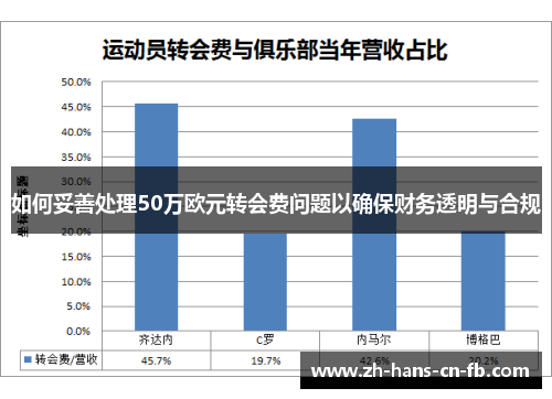 如何妥善处理50万欧元转会费问题以确保财务透明与合规 如何妥善处理50万欧元转会费问题以确保财务透明与合规