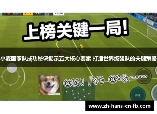 小麦国家队成功秘诀揭示五大核心要素 打造世界级强队的关键策略