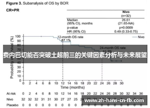 费内巴切能否突破土超前三的关键因素分析与未来展望
