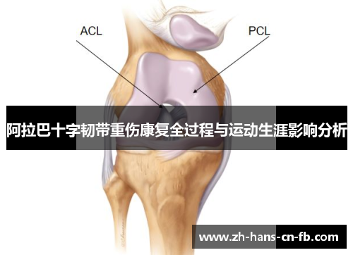 阿拉巴十字韧带重伤康复全过程与运动生涯影响分析