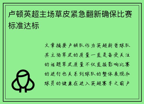 卢顿英超主场草皮紧急翻新确保比赛标准达标 卢顿英超主场草皮紧急翻新确保比赛标准达标